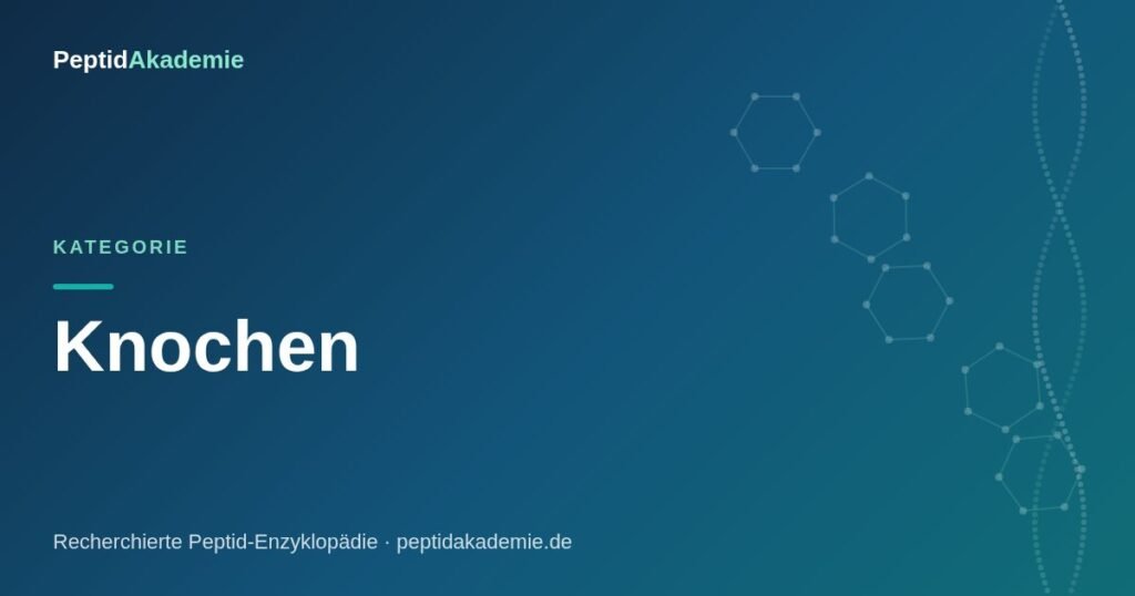 PeptidAkademie – Kategorie Knochen: recherchierte Peptide mit Studien-Quellen