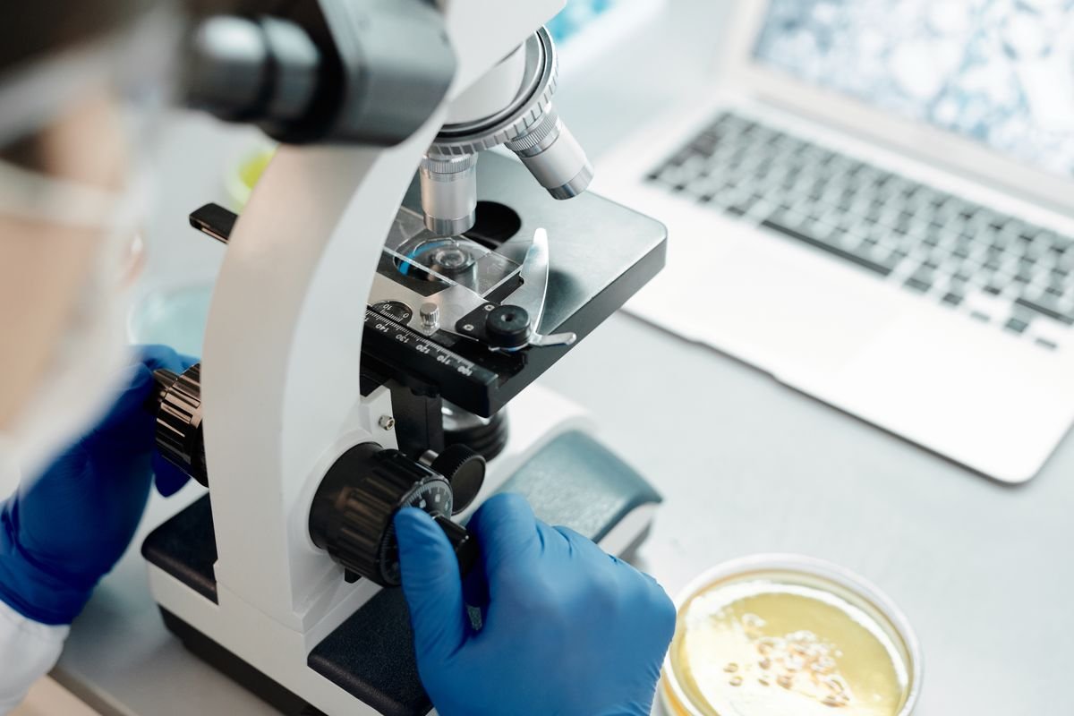Analyse biologischer Proben unter dem Mikroskop