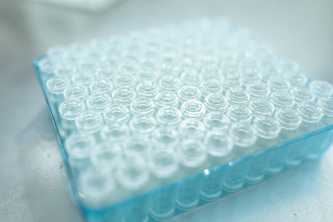 Viele Glas-Fläschchen im Labor
